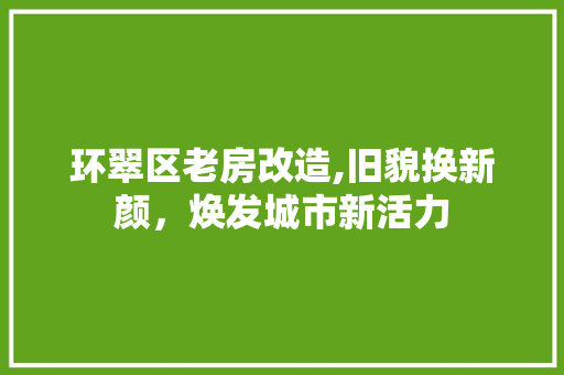 环翠区老房改造,旧貌换新颜，焕发城市新活力