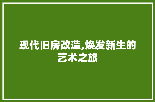 现代旧房改造,焕发新生的艺术之旅