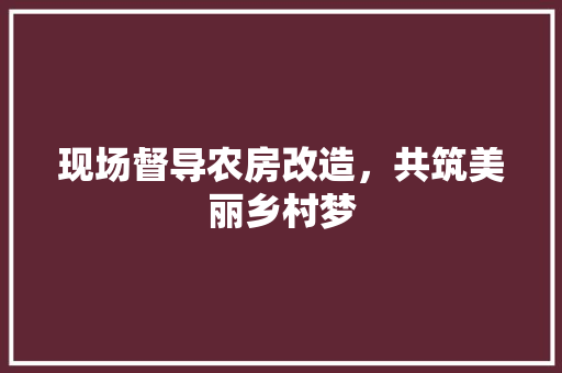 现场督导农房改造，共筑美丽乡村梦