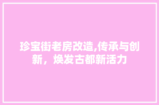 珍宝街老房改造,传承与创新，焕发古都新活力