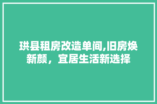 珙县租房改造单间,旧房焕新颜，宜居生活新选择