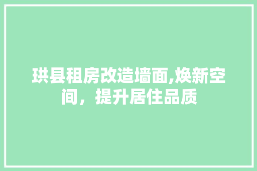 珙县租房改造墙面,焕新空间，提升居住品质