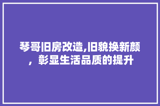 琴哥旧房改造,旧貌换新颜，彰显生活品质的提升 厨房维修