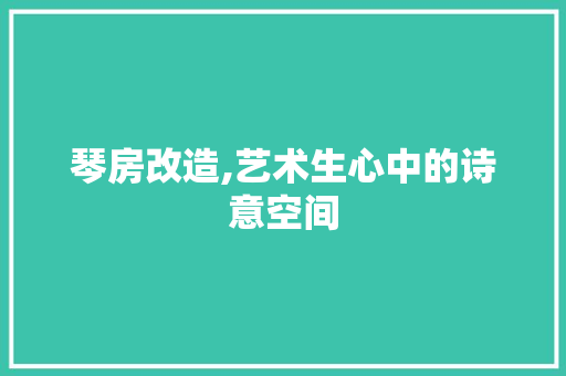 琴房改造,艺术生心中的诗意空间