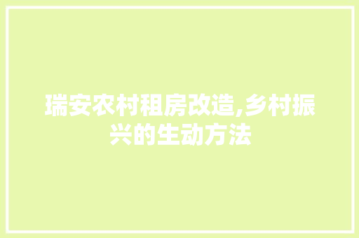 瑞安农村租房改造,乡村振兴的生动方法
