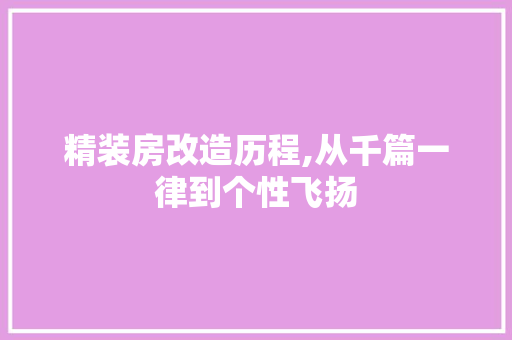 精装房改造历程,从千篇一律到个性飞扬