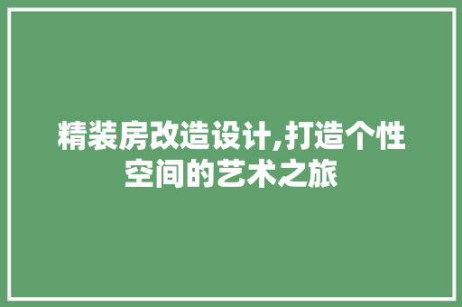 精装房改造设计,打造个性空间的艺术之旅 厨房维修