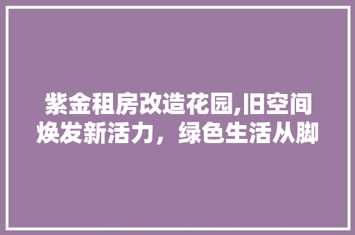 紫金租房改造花园,旧空间焕发新活力，绿色生活从脚下开始