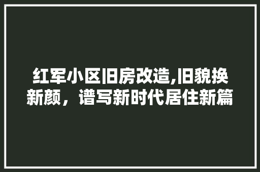 红军小区旧房改造,旧貌换新颜，谱写新时代居住新篇章