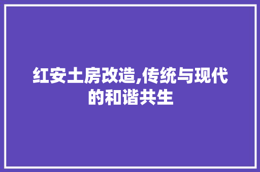 红安土房改造,传统与现代的和谐共生