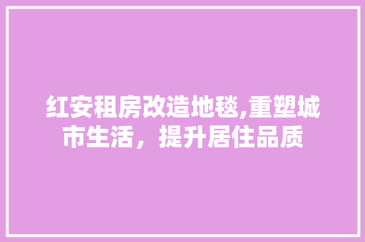 红安租房改造地毯,重塑城市生活，提升居住品质