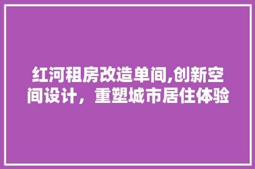 红河租房改造单间,创新空间设计，重塑城市居住体验 综合便民