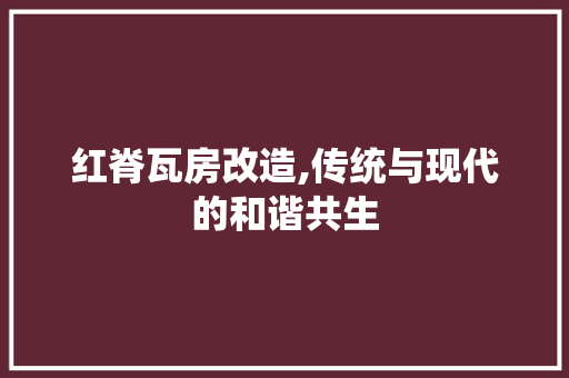 红脊瓦房改造,传统与现代的和谐共生