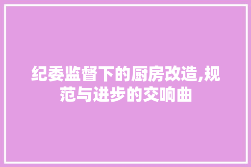 纪委监督下的厨房改造,规范与进步的交响曲