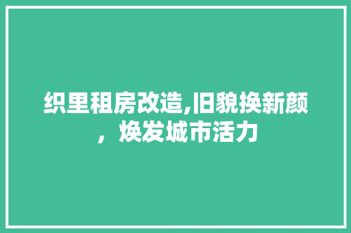 织里租房改造,旧貌换新颜，焕发城市活力 汽车维修