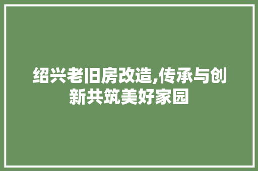 绍兴老旧房改造,传承与创新共筑美好家园 厨房维修