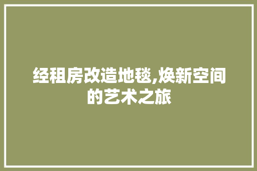 经租房改造地毯,焕新空间的艺术之旅