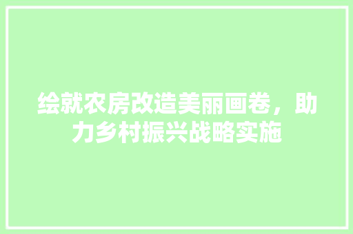 绘就农房改造美丽画卷，助力乡村振兴战略实施 家电维修