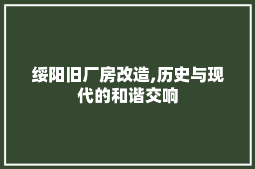 绥阳旧厂房改造,历史与现代的和谐交响 家电维修