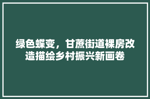 绿色蝶变，甘蔗街道裸房改造描绘乡村振兴新画卷