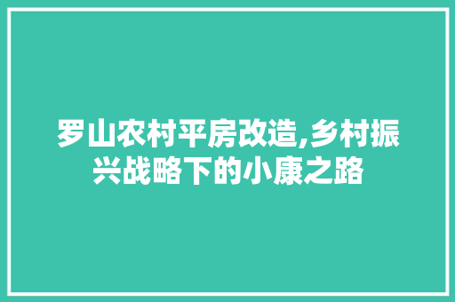 罗山农村平房改造,乡村振兴战略下的小康之路 综合便民
