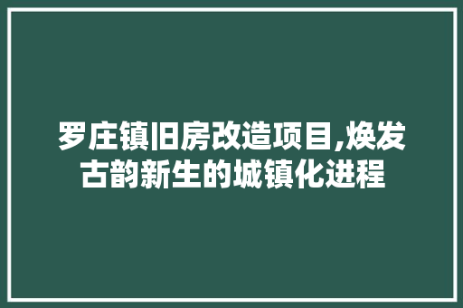 罗庄镇旧房改造项目,焕发古韵新生的城镇化进程