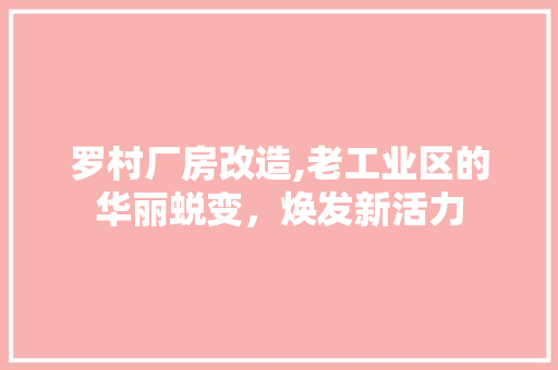 罗村厂房改造,老工业区的华丽蜕变，焕发新活力