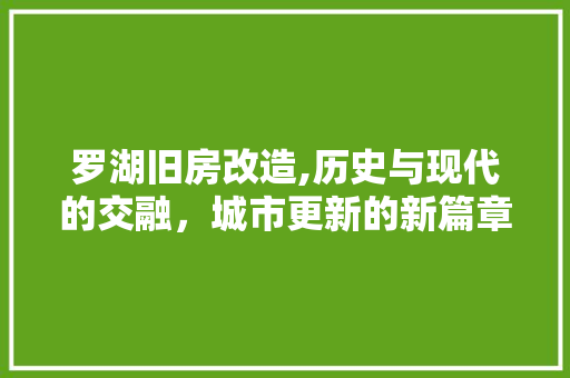 罗湖旧房改造,历史与现代的交融，城市更新的新篇章 综合便民