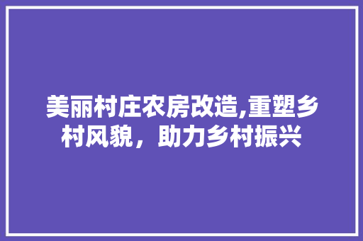 美丽村庄农房改造,重塑乡村风貌，助力乡村振兴