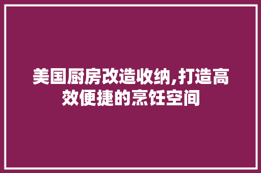 美国厨房改造收纳,打造高效便捷的烹饪空间