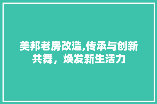美邦老房改造,传承与创新共舞，焕发新生活力