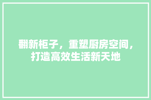 翻新柜子，重塑厨房空间，打造高效生活新天地 厨房维修