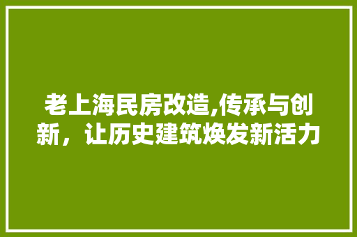 老上海民房改造,传承与创新，让历史建筑焕发新活力