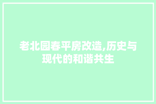 老北园春平房改造,历史与现代的和谐共生