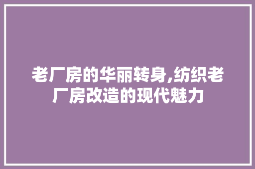 老厂房的华丽转身,纺织老厂房改造的现代魅力