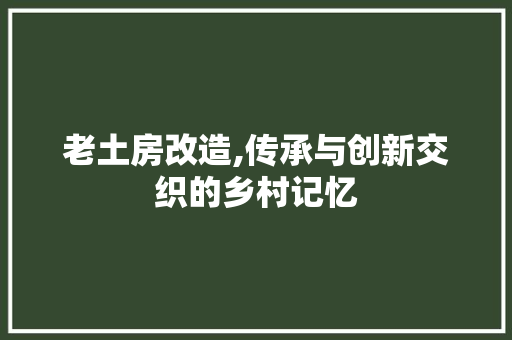 老土房改造,传承与创新交织的乡村记忆