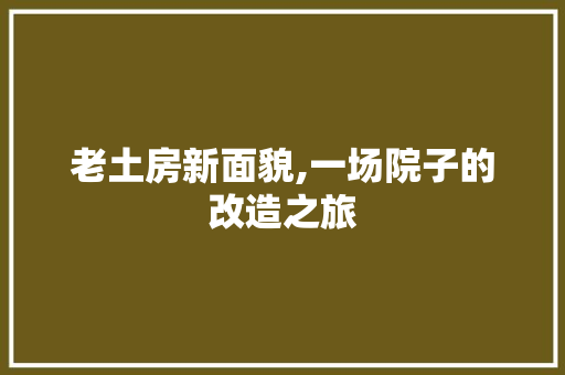 老土房新面貌,一场院子的改造之旅