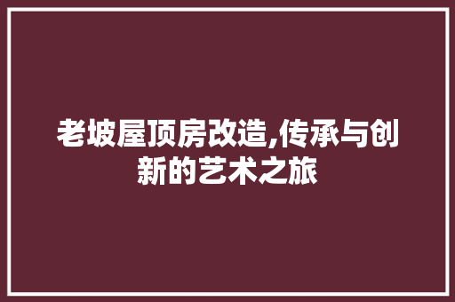 老坡屋顶房改造,传承与创新的艺术之旅