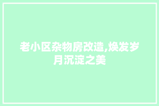老小区杂物房改造,焕发岁月沉淀之美 家电维修