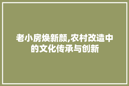 老小房焕新颜,农村改造中的文化传承与创新 墙体维修