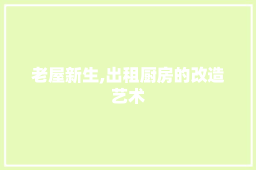老屋新生,出租厨房的改造艺术