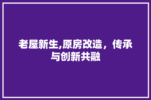老屋新生,原房改造，传承与创新共融 厨房维修