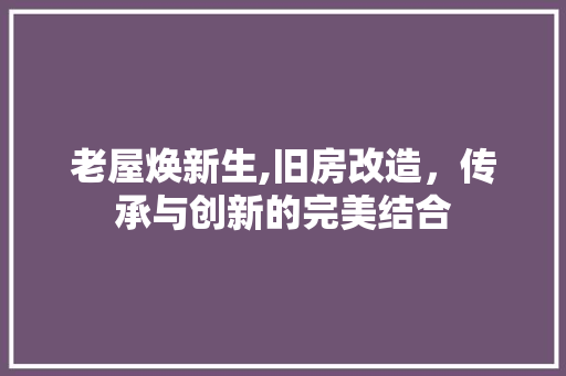 老屋焕新生,旧房改造，传承与创新的完美结合