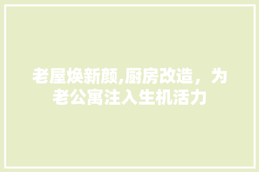老屋焕新颜,厨房改造，为老公寓注入生机活力