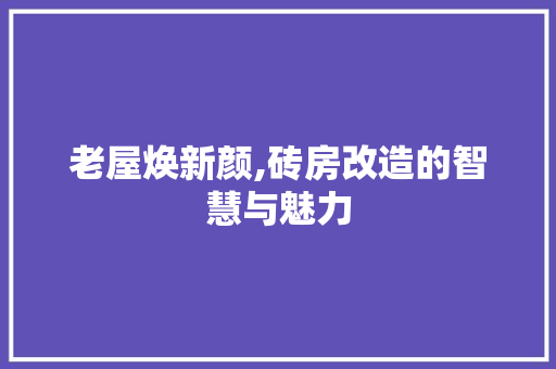 老屋焕新颜,砖房改造的智慧与魅力