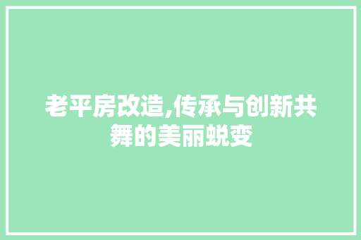 老平房改造,传承与创新共舞的美丽蜕变