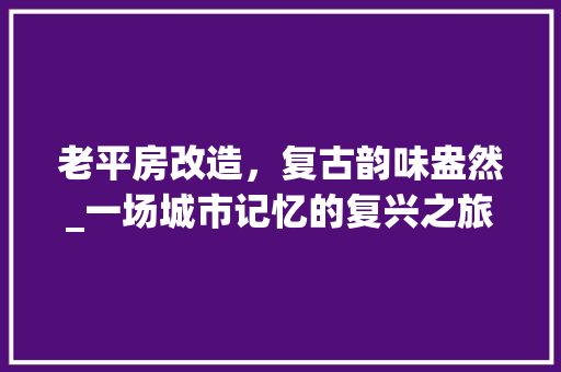 老平房改造，复古韵味盎然_一场城市记忆的复兴之旅 厨房维修