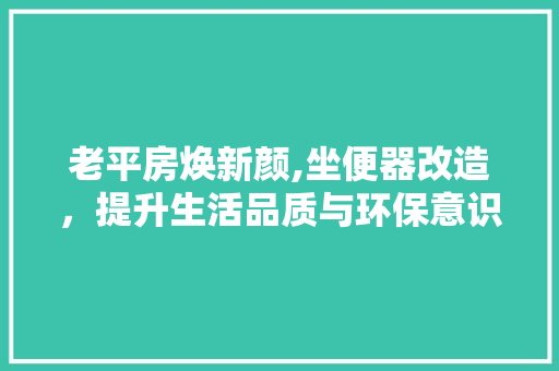老平房焕新颜,坐便器改造，提升生活品质与环保意识