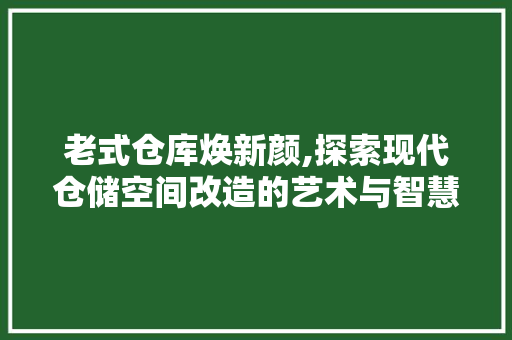老式仓库焕新颜,探索现代仓储空间改造的艺术与智慧 家电维修