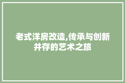 老式洋房改造,传承与创新并存的艺术之旅